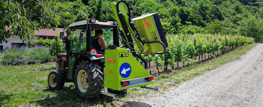 Niubo-viticulture-2